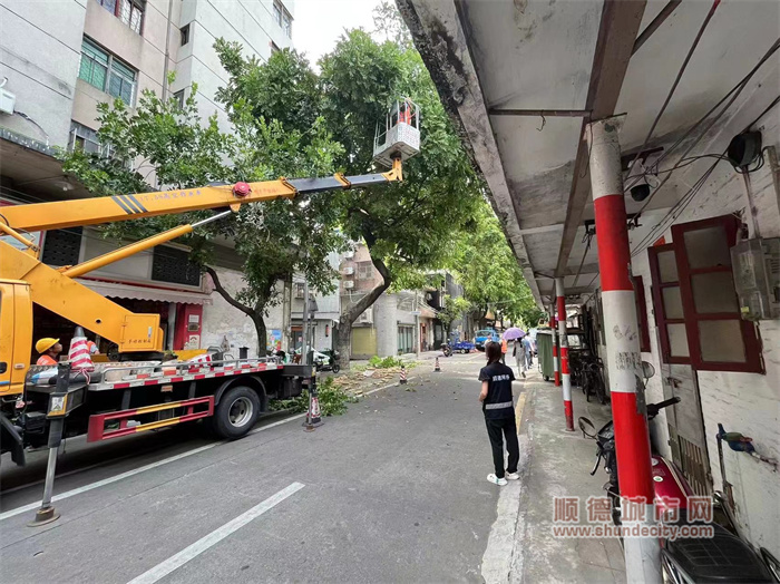 二、蠹眾“木”折，防患未然 容桂.jpg