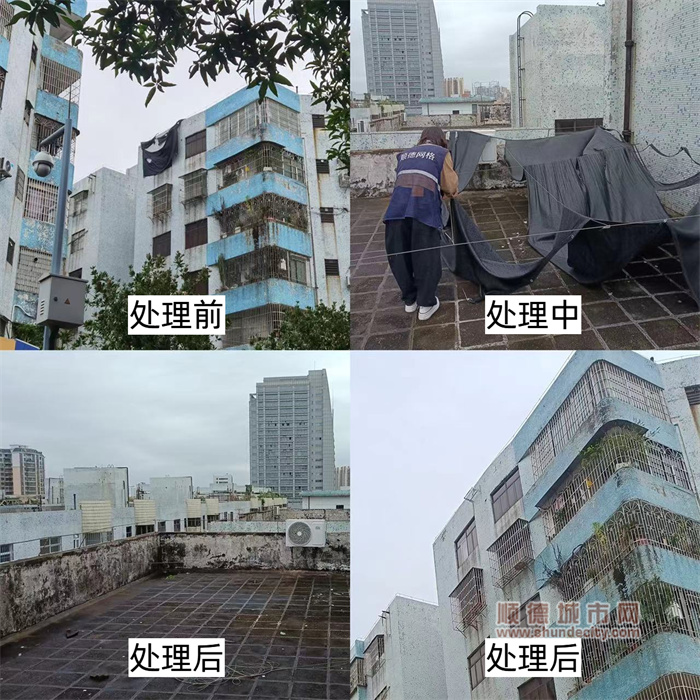 三、沖風冒“雨”，勇往直前  樂從 (1).jpg