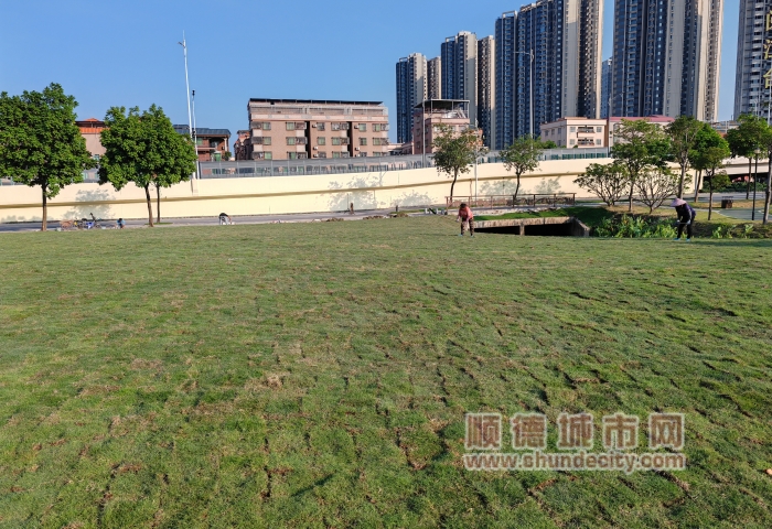 微信圖片_20231108205604_副本.jpg