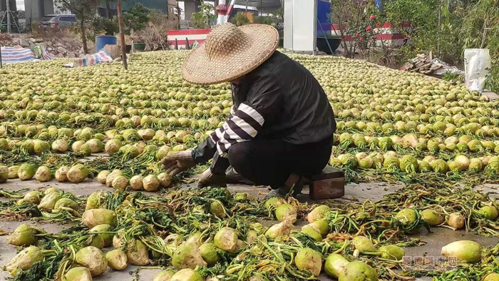 微信圖片_20231109142353.jpg