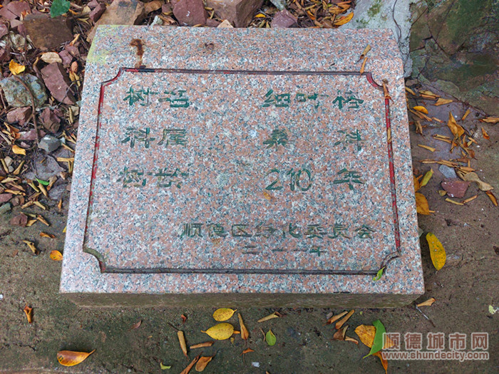 古樹牌1.jpg