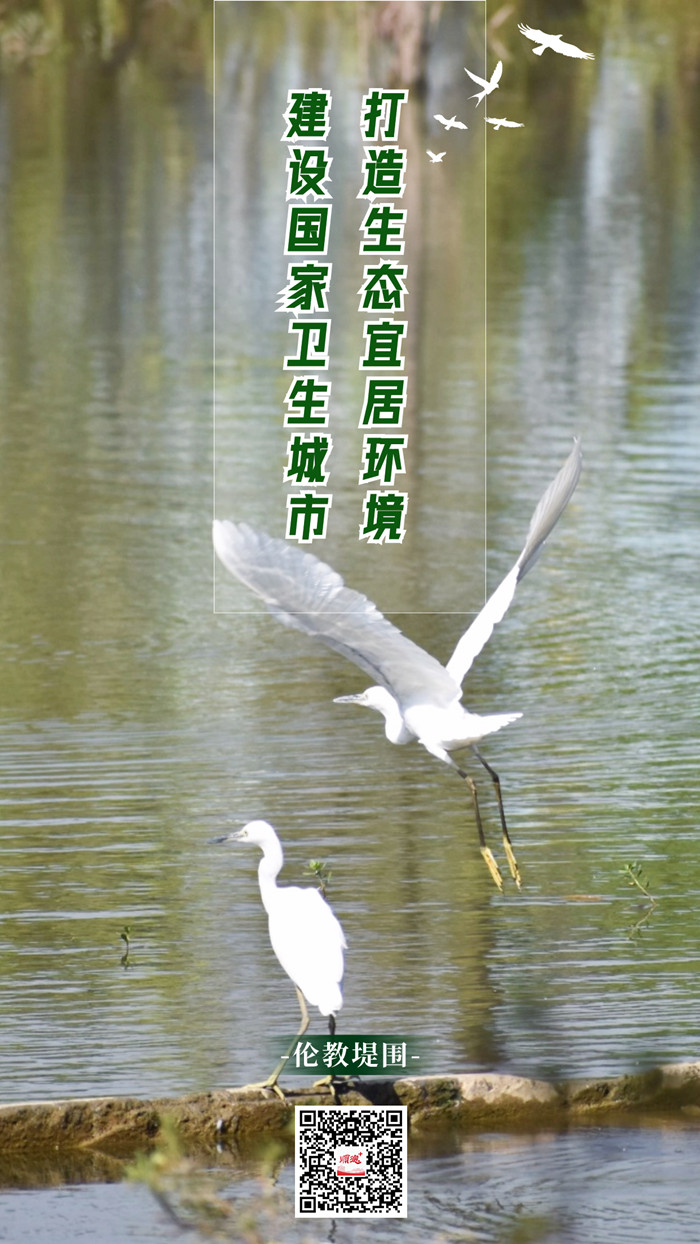 倫教生態(tài)10 (1)_副本.jpg