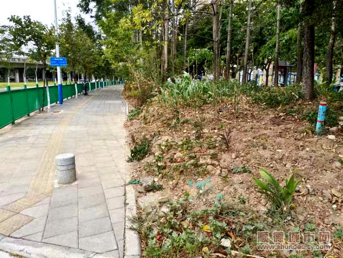 小區綠化補種前后.jpg