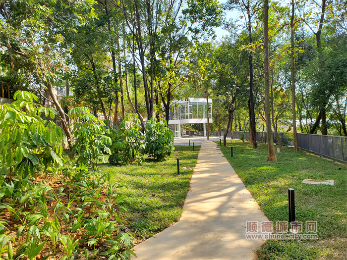 3-2翠湖公園提升改造后照3（城建辦提供）.jpg