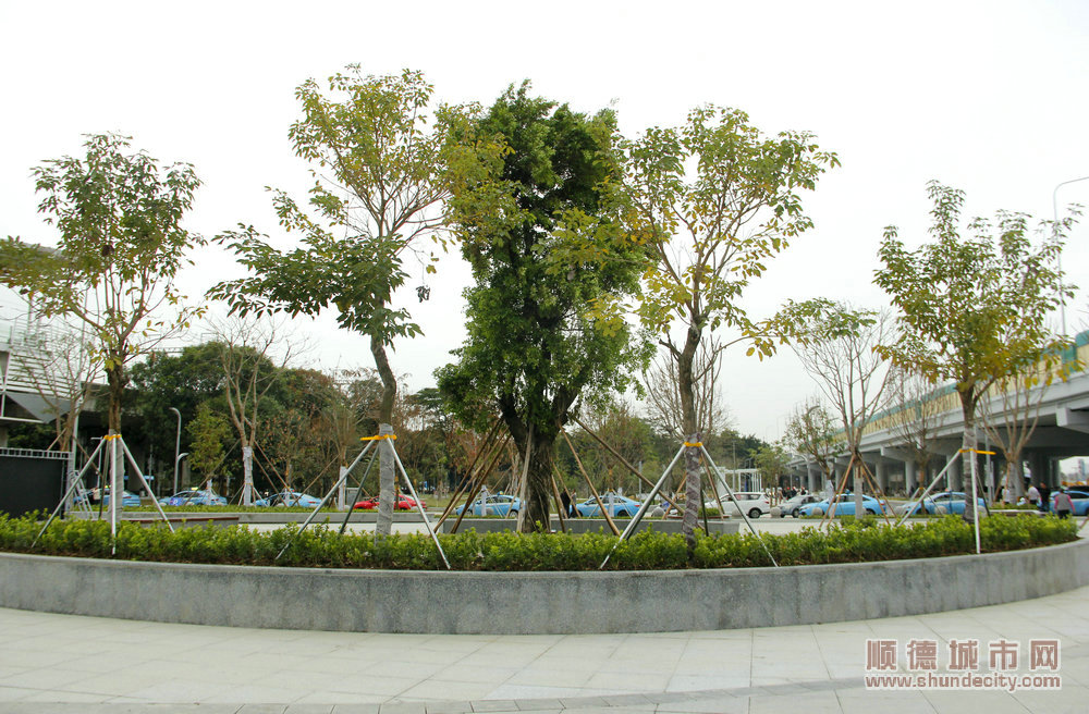005綠化大提升。.JPG