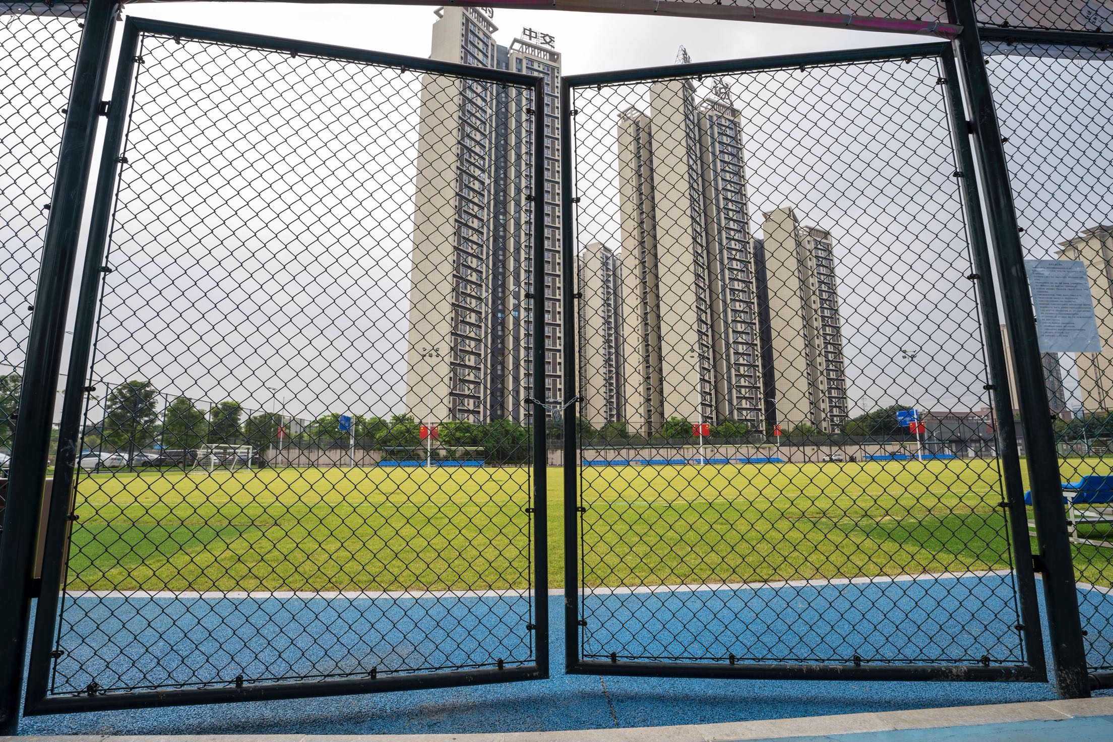 高新區橋畔公園(順德城市網網友“酒是故鄉醇”攝） (3).jpg