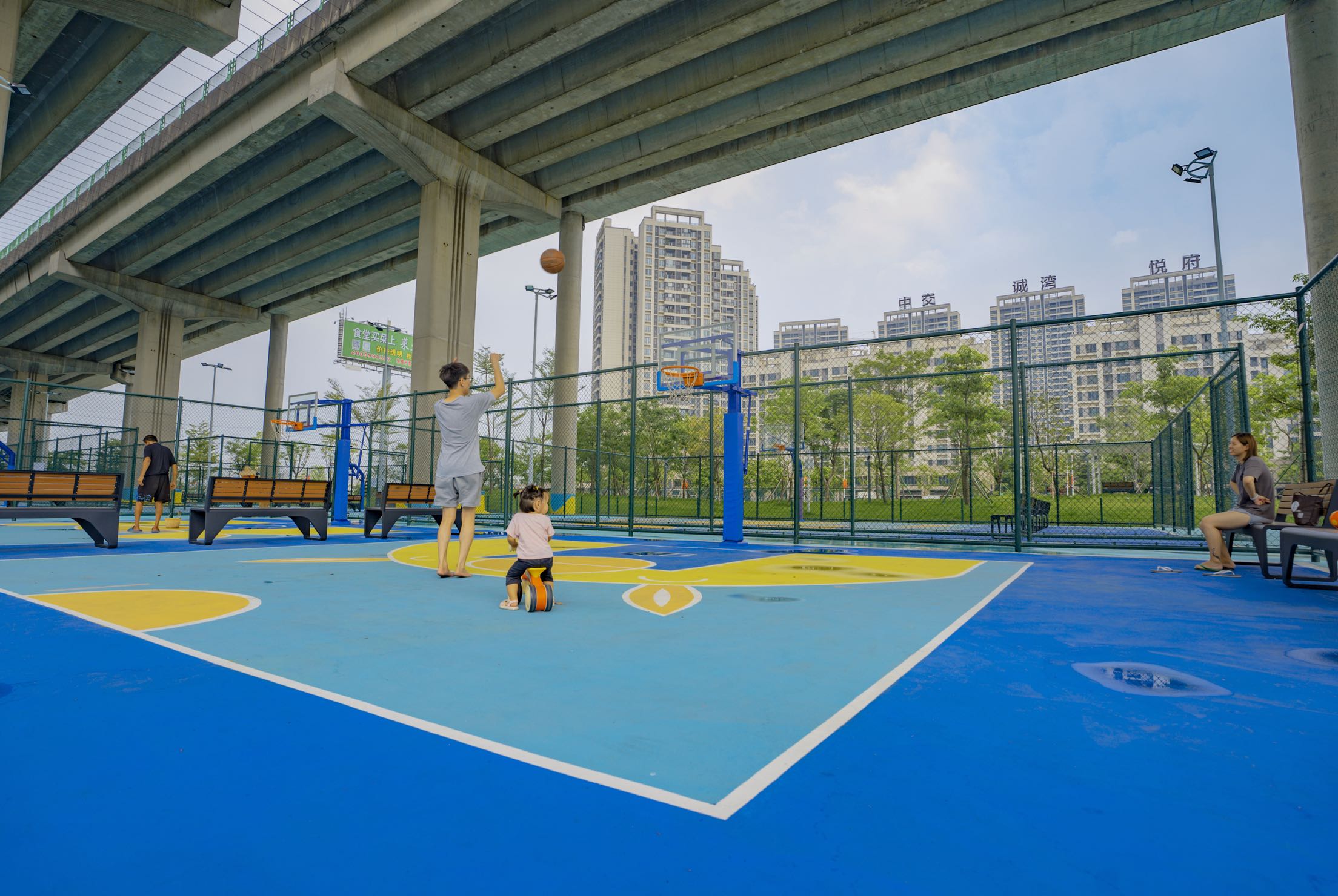 高新區橋畔公園(順德城市網網友“酒是故鄉醇”攝） (6).jpg