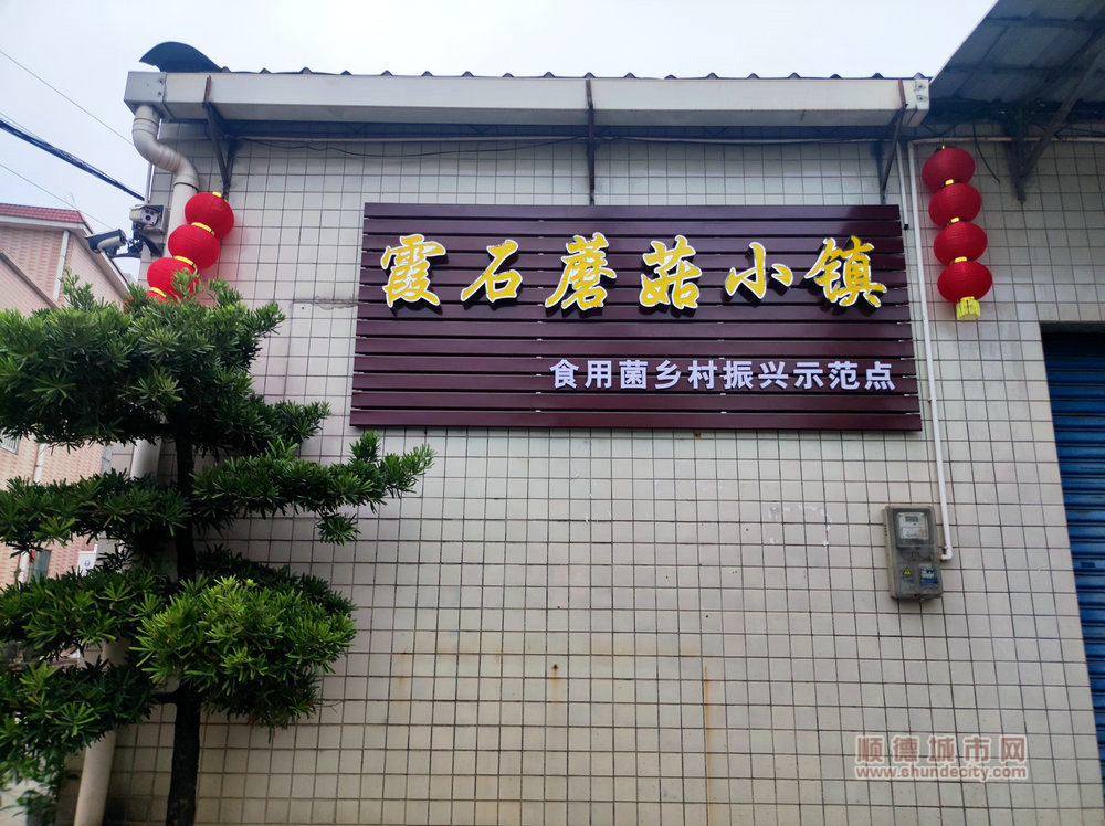 蘑菇小鎮(zhèn).jpg