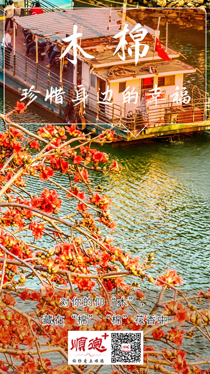 教育培訓心靈雞湯加油勵志學習相關實景排版手機海報(2)(2).jpg