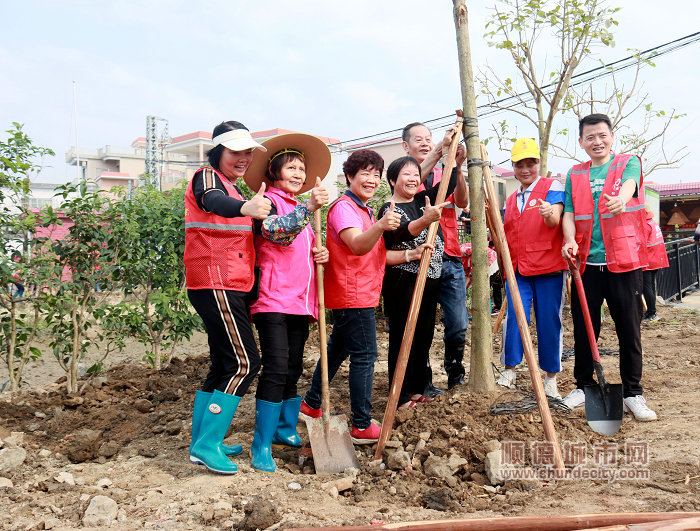 老干部參與植樹活動，助力綠美順德建設(shè)。.jpg