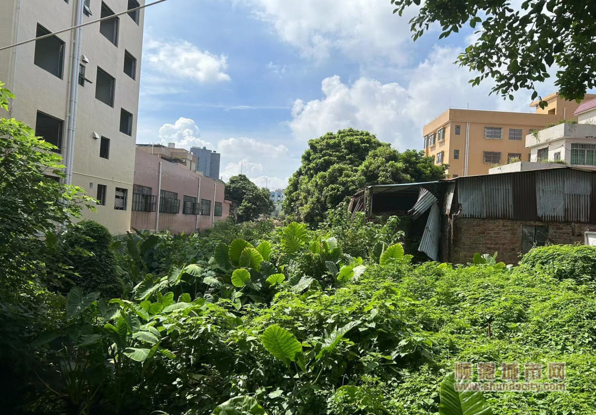 前后對比照片2-1_副本.jpg