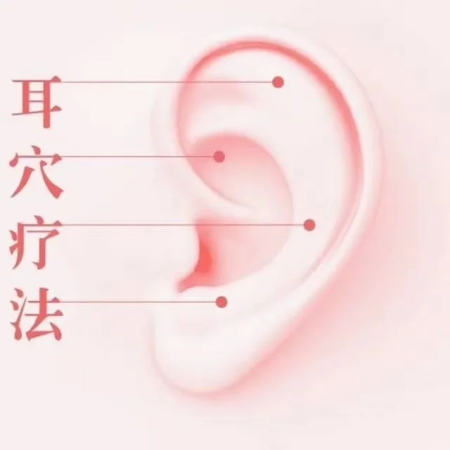 微信圖片_20240423152141.png