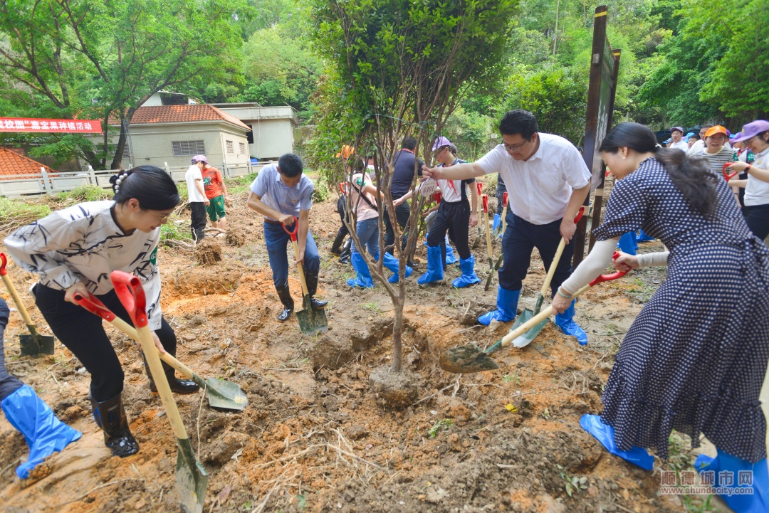 中小學“綠美校園”嘉寶果種植活動TIN_5856__副本.jpg