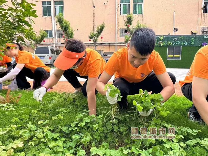 微信圖片_20240522212018_副本.jpg
