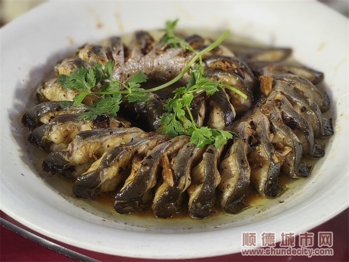 豉汁蒸盤龍鱔，順德人宴席上的一道硬菜