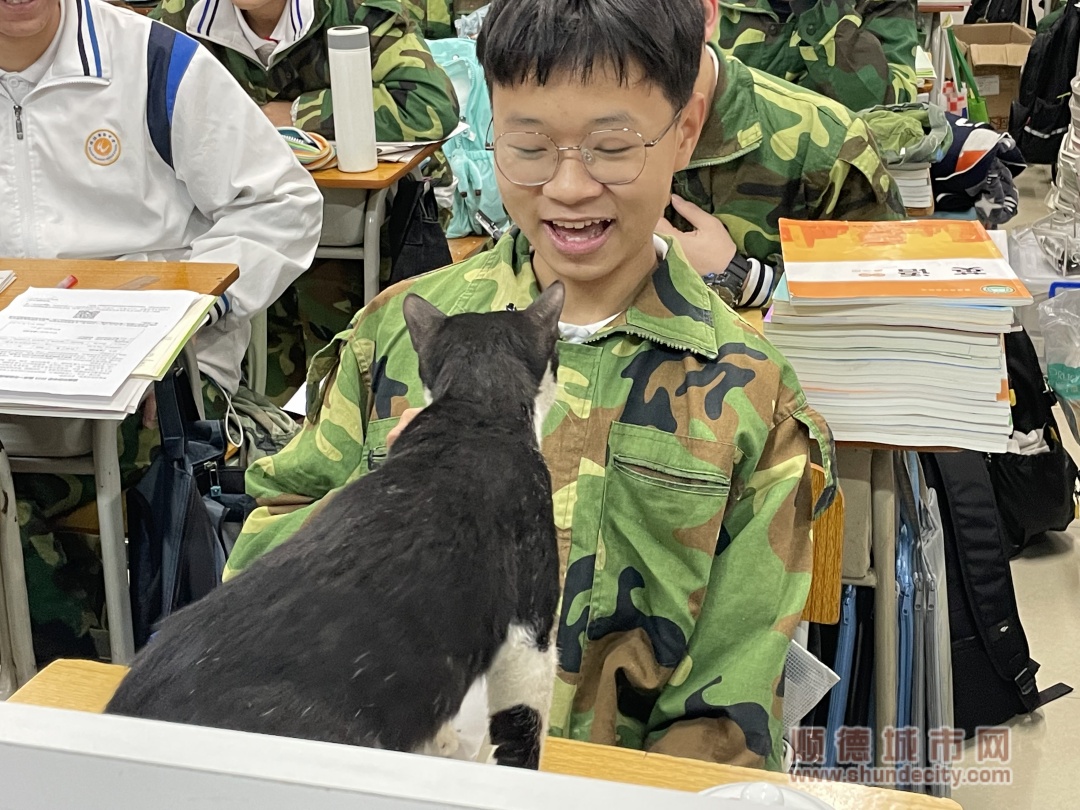 微信圖片_20240625170555_副本.jpg