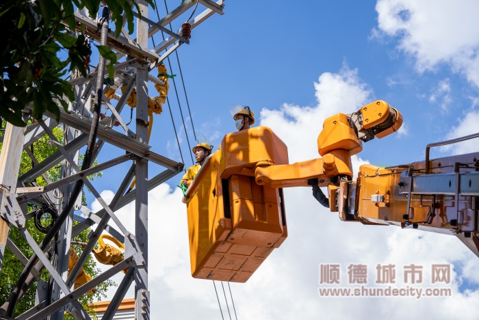 順德供電局開展帶電作業完善網架，提高電網供電能力。（劉酩詩 攝） (2)_副本.jpg