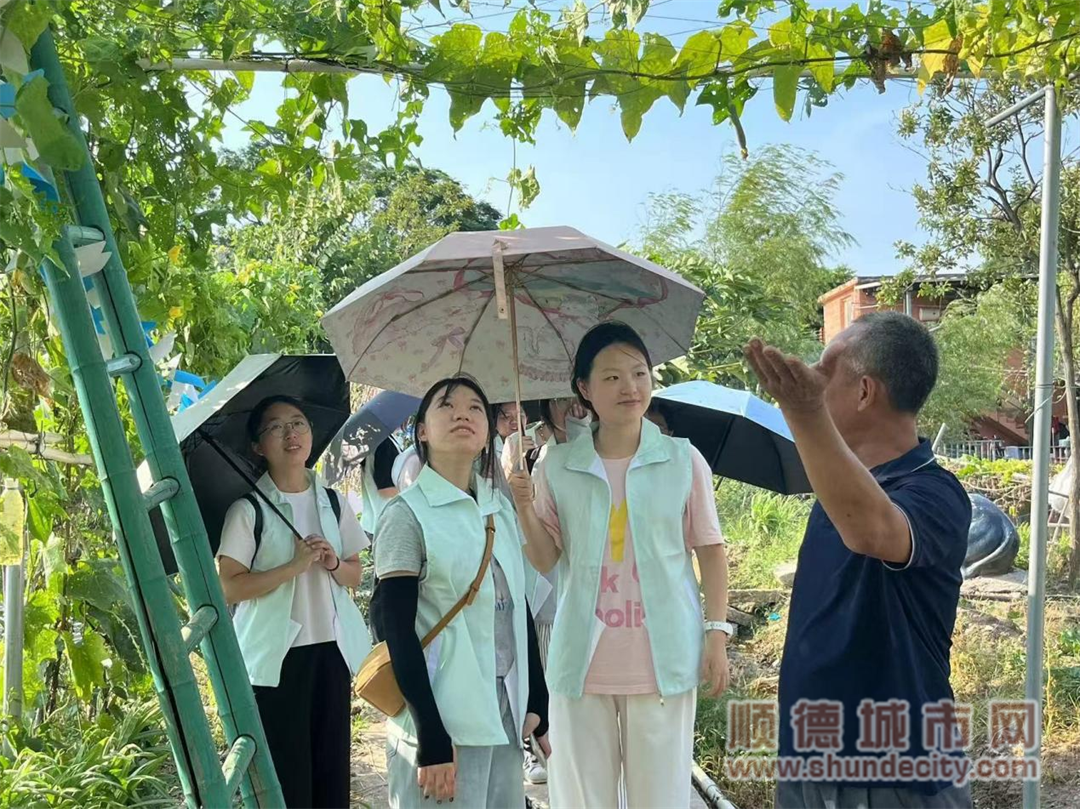 微信圖片_20240731203657.png