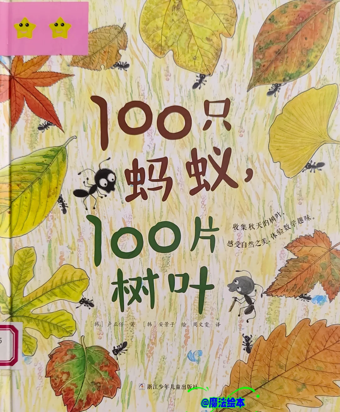 微信圖片_20240829234339.png