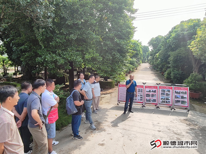 何書記介紹仙涌大道“破墻透綠”經驗做法_副本.jpg