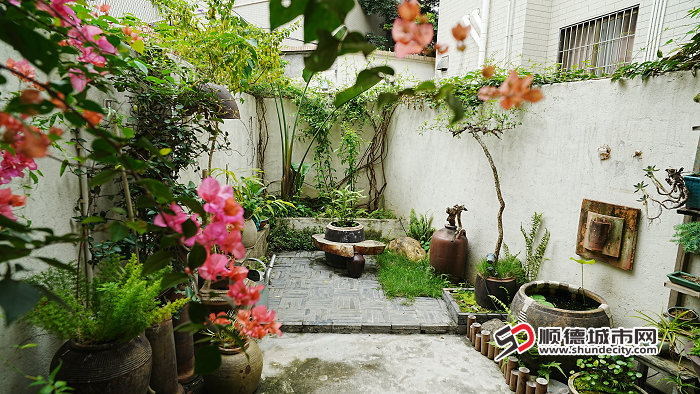 南涌社區(qū) 梁彪翼家庭 (1).jpg