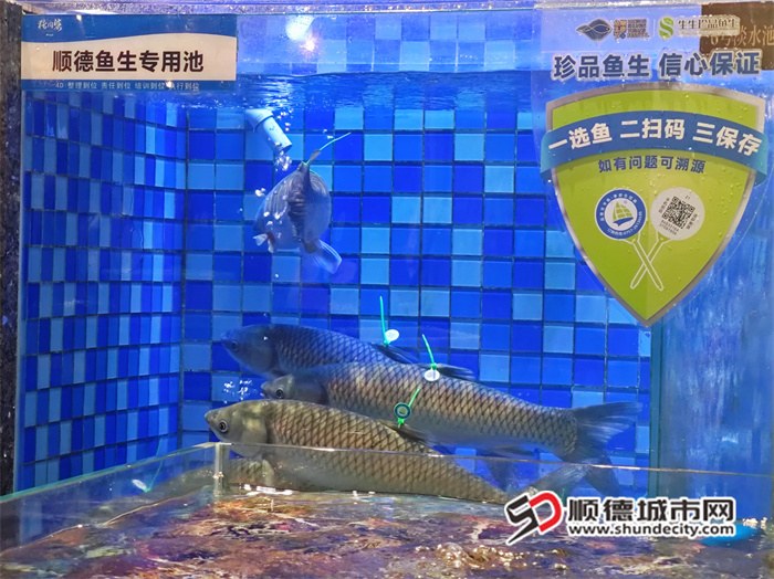 微信圖片_20240921005742.jpg
