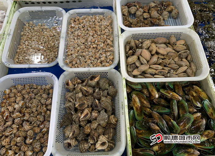 海鮮_副本.jpg