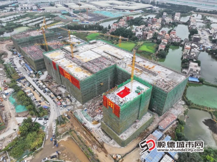微信圖片_20241105215503_副本.jpg