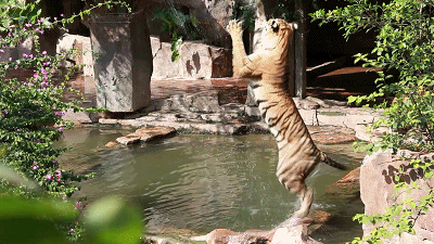 微信圖片_20241111141704.gif