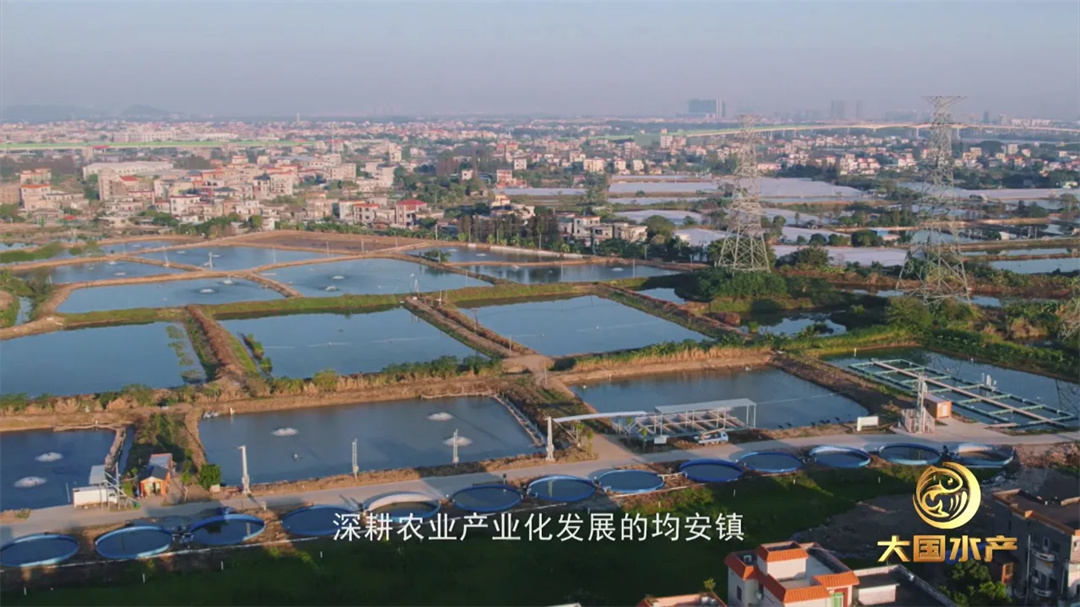 微信圖片_20241113202641.jpg