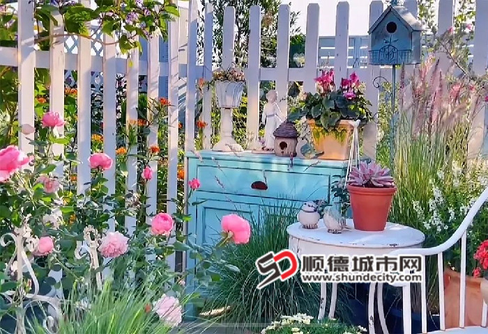 微信圖片_20241116213940_副本.jpg