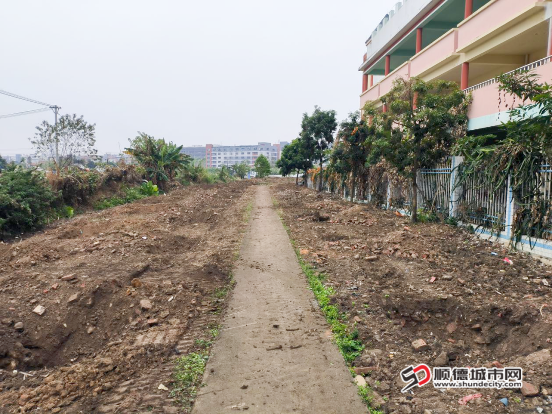 1-2024年沙頭社區(qū)“綠美均安·奮戰(zhàn)‘百千萬(wàn)’”鄉(xiāng)村植樹(shù)活動(dòng)前_副本.png