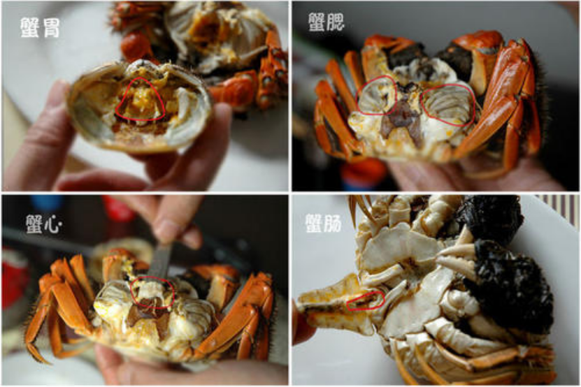 微信圖片_20241119145630.png