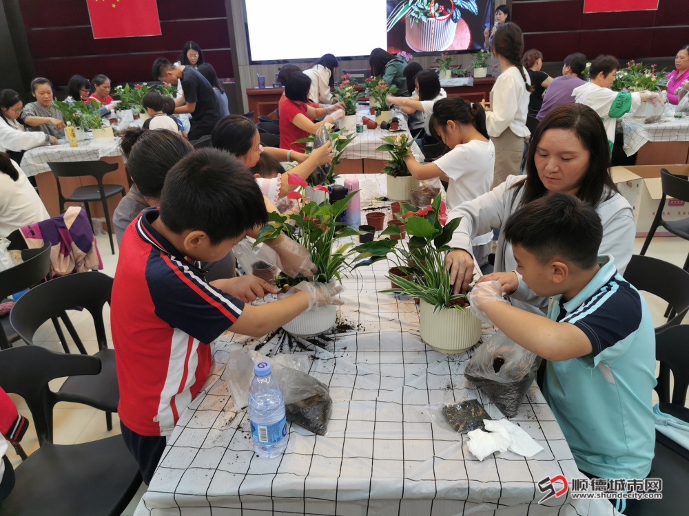 五沙社區(qū)開展盆栽種植美學活動——“綠意盎然，美在庭院”1_副本.jpg
