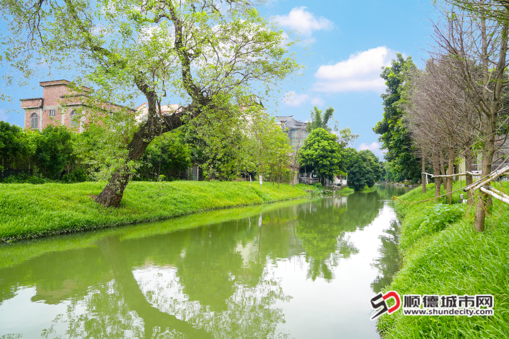 陳村河及厘涌景觀工程。_副本.png