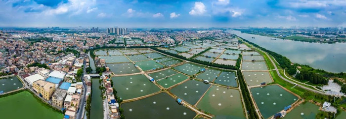 微信圖片_20241126233232_副本.jpg