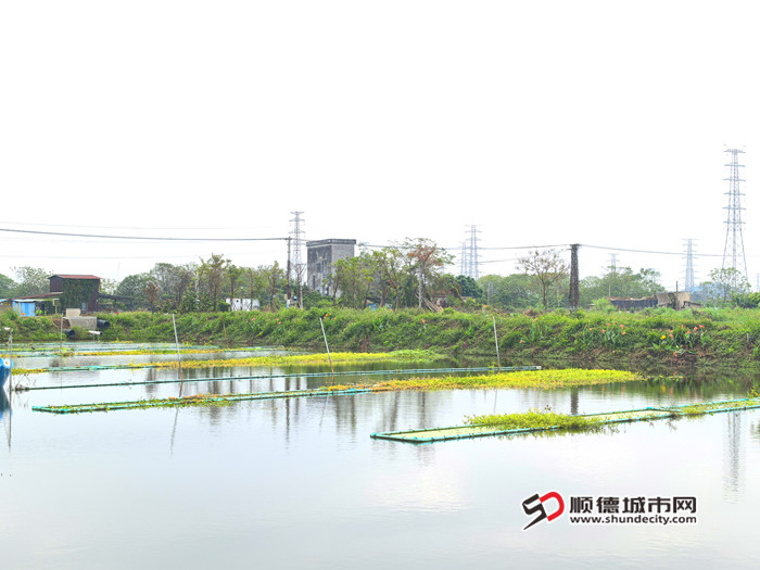 IMG_20241122_094925_副本.jpg