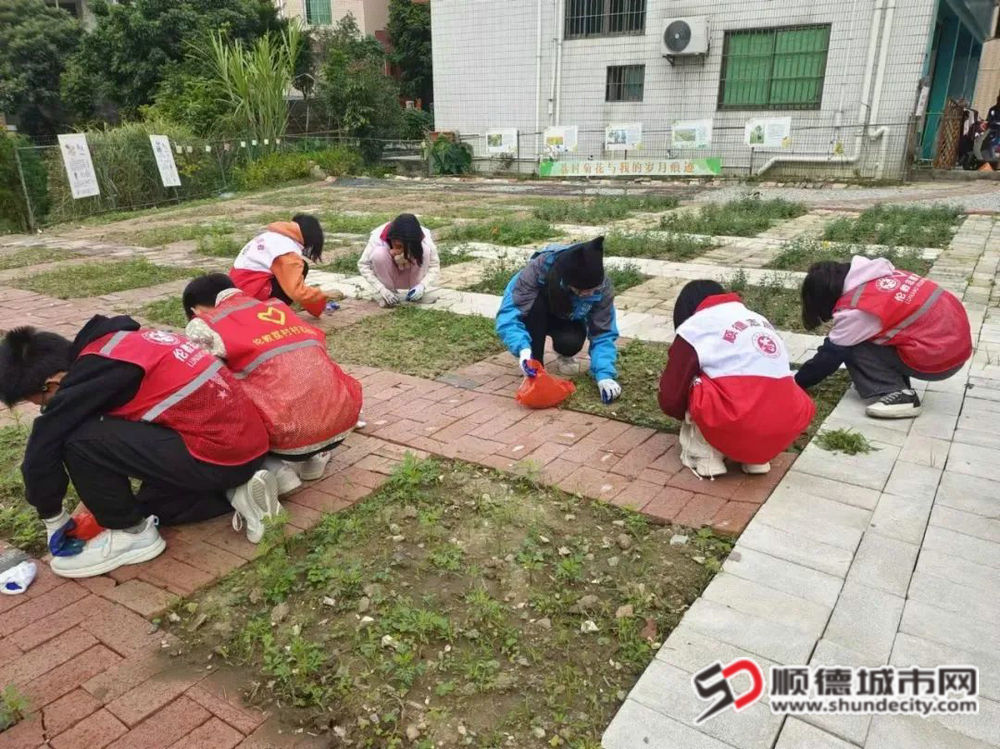 微信圖片_20241217013322.jpg