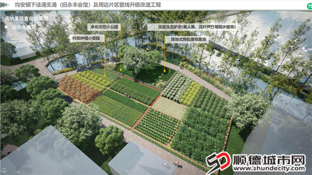 新華下逕涌支涌（舊永豐會館）及周邊片區管線升級改造工程的效果圖。.png