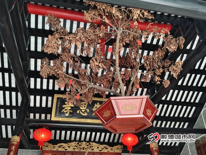 微信圖片_20241225085300.jpg