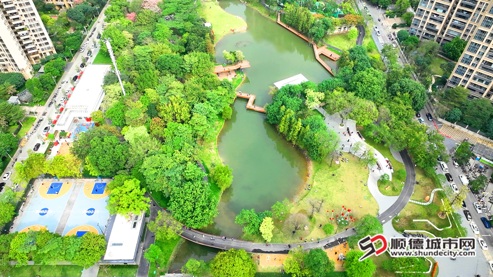 南區(qū)公園。.png