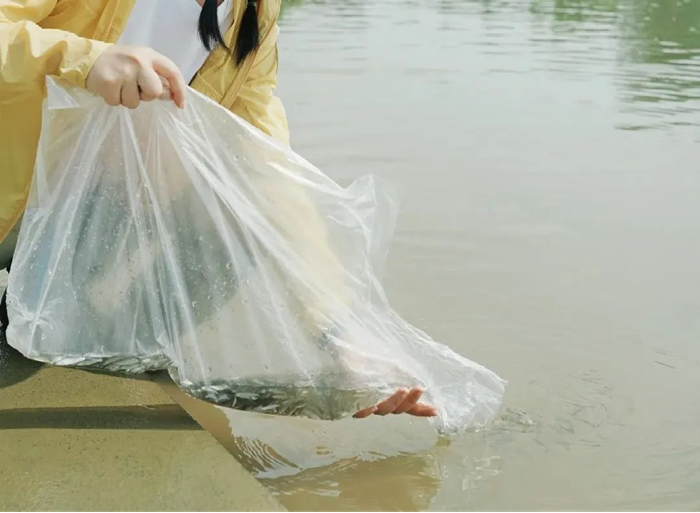 圖片8.png