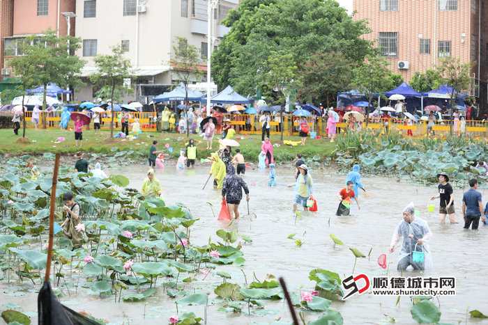 25-捉魚文化節.jpg