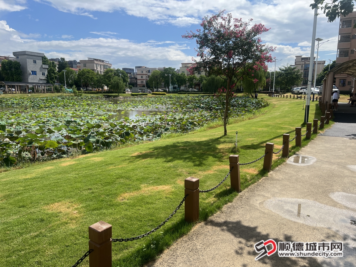 北滘社區(qū)南塘片 (10)_副本.jpg