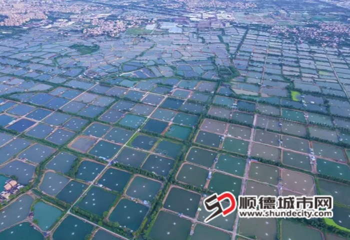 微信圖片_20250206180726_副本.jpg
