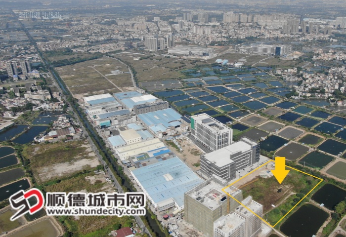 微信圖片_20250207155759_副本.jpg