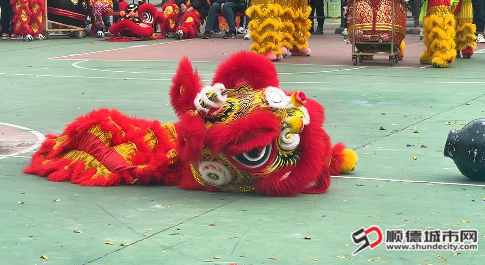 微信圖片_20250208201010_副本.jpg