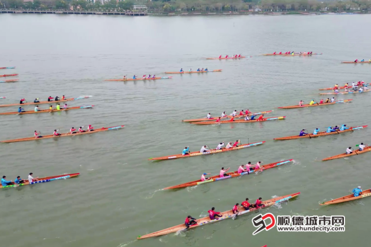 QQ20250222-193156_副本.png