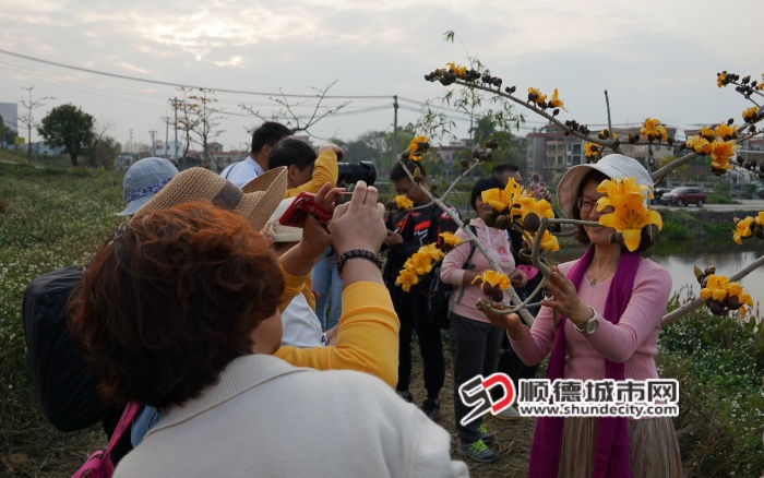 DSC01582_副本.jpg