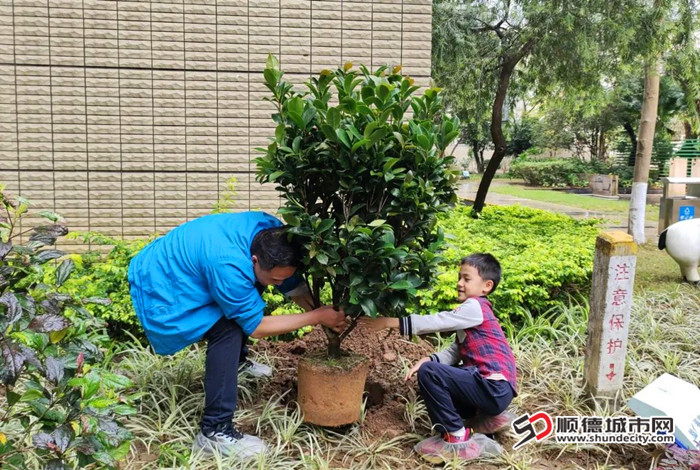 用綠植在小區(qū)打造微景觀。.jpg